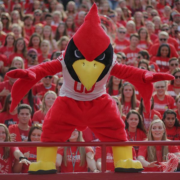 Reggie mascot standing in front of the student section at a football game, staring at the camera.