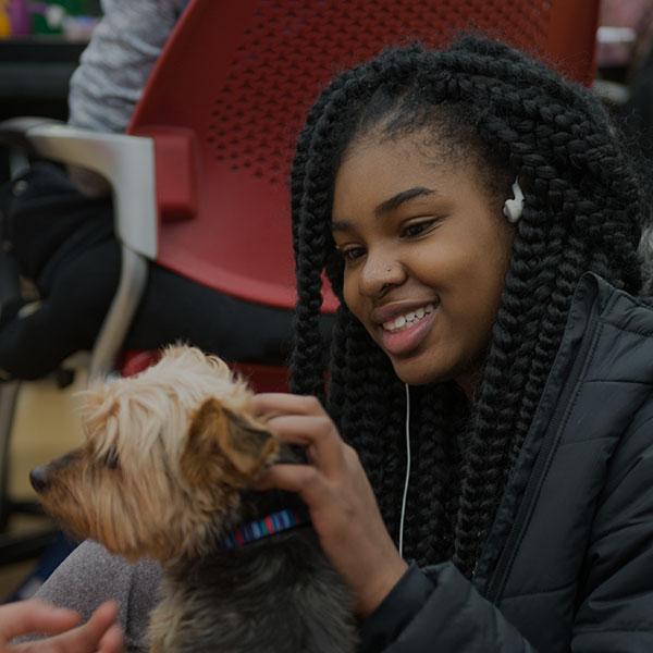 Student petting a therapy dog in the library.
